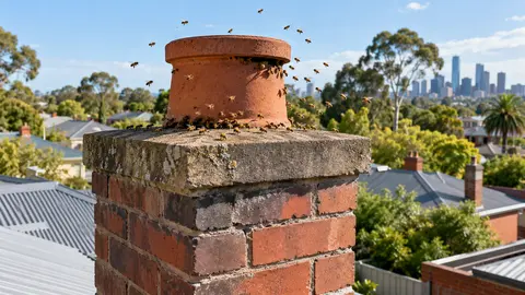 Bees in a Chimney or Fireplace: Melbourne Removal Checklist