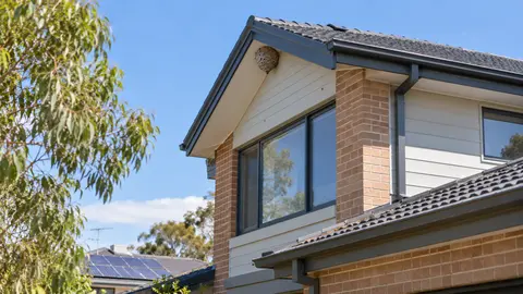 Wasp Nest on a High Roof: Melbourne Access and Quote Guide
