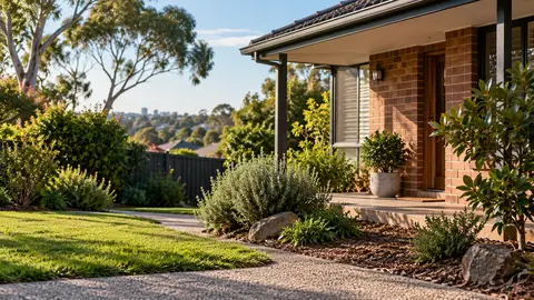How Often Should You Get Pest Control in Melbourne?