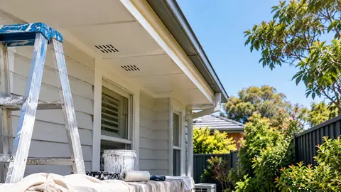 Painting and Pest Control in Melbourne: Which Comes First?