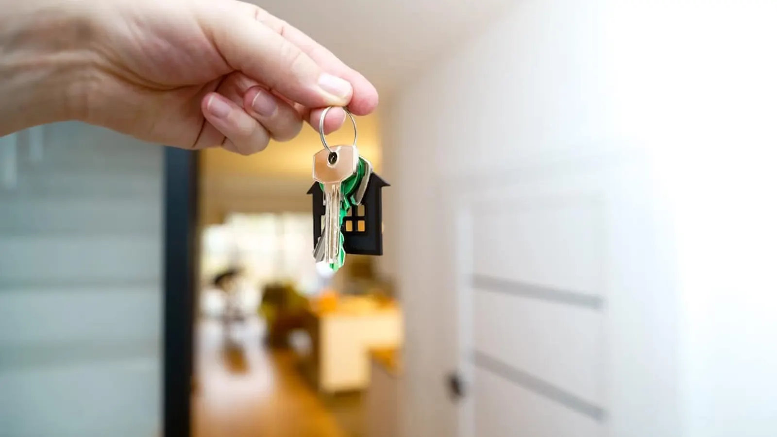 Pests in a Victorian Rental: How to Request Treatment