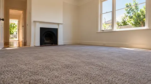 Flea Treatment Before Moving In: Melbourne Property Guide