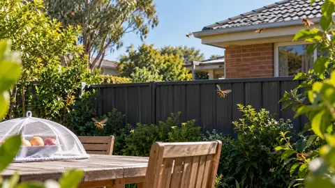 Wasps Coming from a Neighbour’s Property in Melbourne?