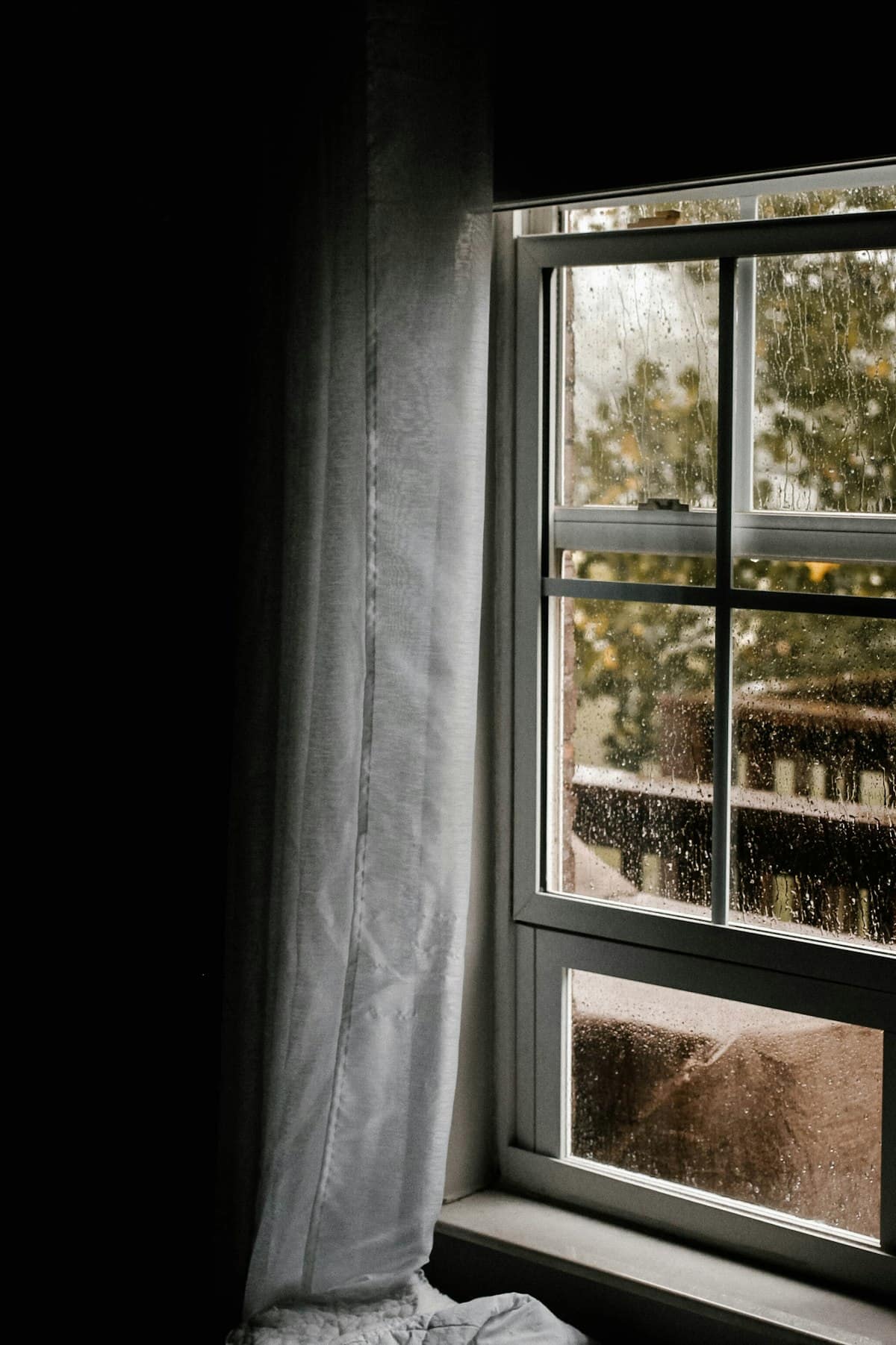 Mould, Moisture & Pests: The Hidden Link in Melbourne Homes