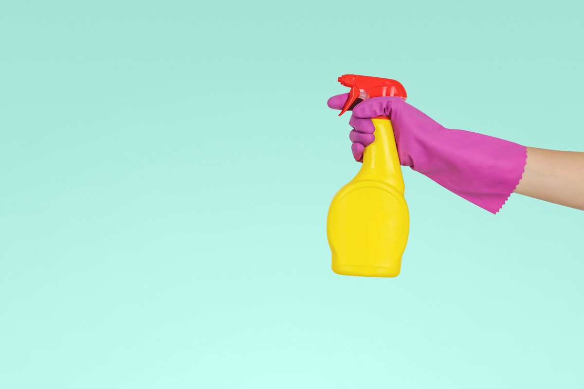 Why Pests Keep Coming Back After Treatment (and How to Stop It)