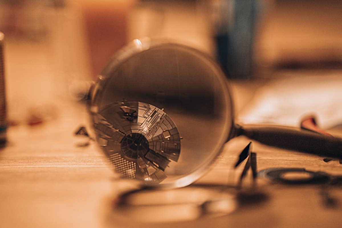 Exterminator Melbourne: What to Expect from a Professional Pest Treatment